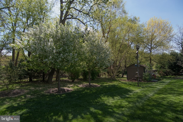 65 White Bark Dr, Middletown, DE 19709 - view of grassy yard