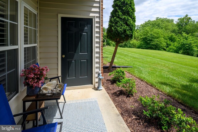 8145 Cyprus Cedar Ln Unit C, Ellicott City, MD 21043 - entrance to property with a lawn