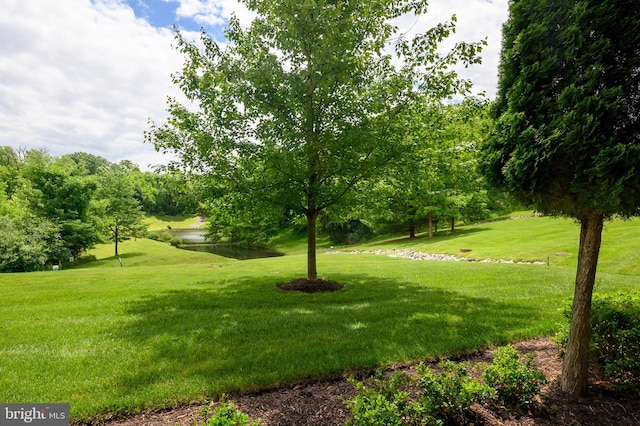 8145 Cyprus Cedar Ln Unit C, Ellicott City, MD 21043 - view of green lawn featuring a water view