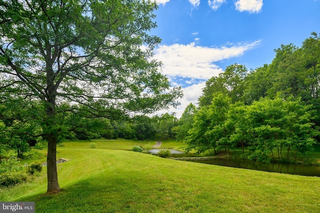 8145 Cyprus Cedar Ln Unit C, Ellicott City, MD 21043 - view of green lawn with a water view