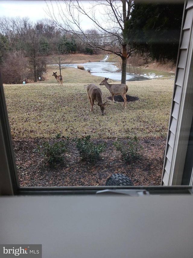 8145 Cyprus Cedar Ln Unit C, Ellicott City, MD 21043 - view of grassy yard with a water view