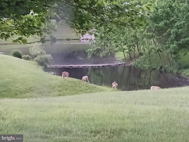 8145 Cyprus Cedar Ln Unit C, Ellicott City, MD 21043 - view of yard with a water view