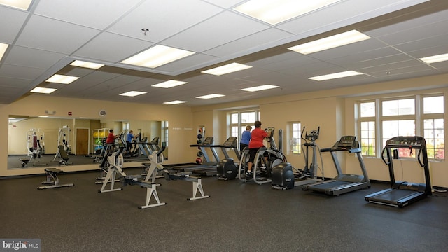 8145 Cyprus Cedar Ln Unit C, Ellicott City, MD 21043 - workout area with a paneled ceiling
