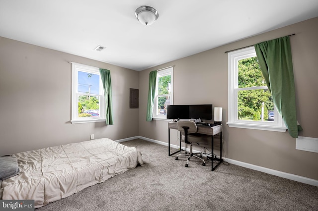 20 Village Rd, Baltimore, MD 21208 - bedroom with carpet floors, electric panel, and a desk
