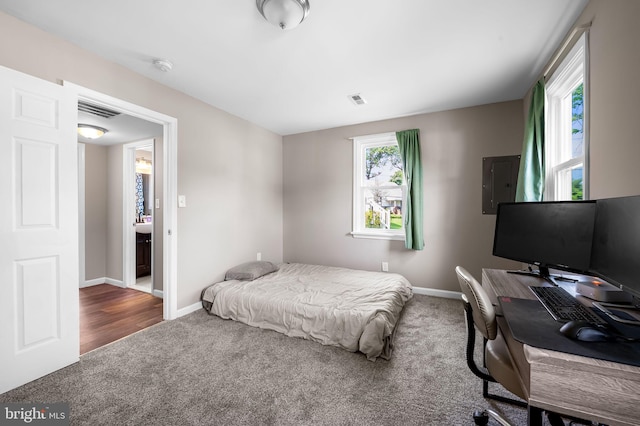 20 Village Rd, Baltimore, MD 21208 - bedroom featuring carpet flooring, electric panel, and an office area