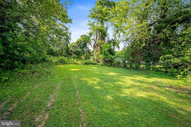20 Village Rd, Baltimore, MD 21208 - view of green lawn