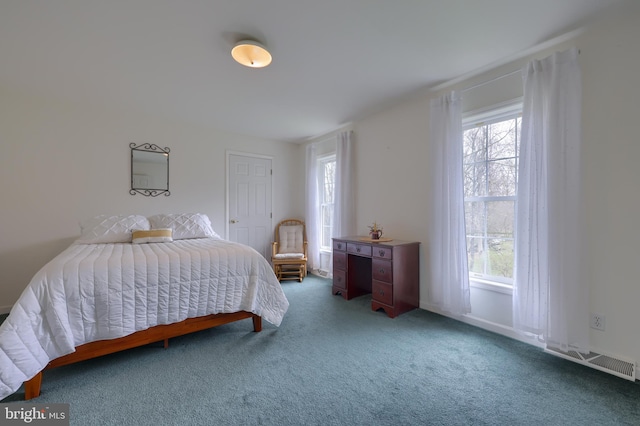 114 Moore Ln, Gap, PA 17527 - view of carpeted bedroom