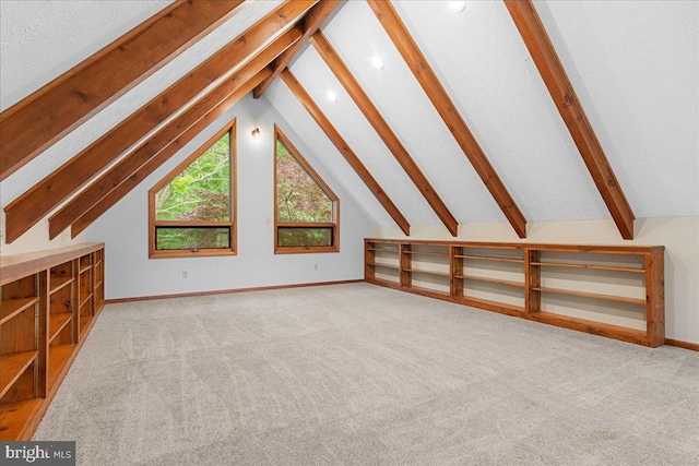 12549 Jesse Smith Rd, Mount Airy, MD 21771 - additional living space with carpet flooring and baseboards