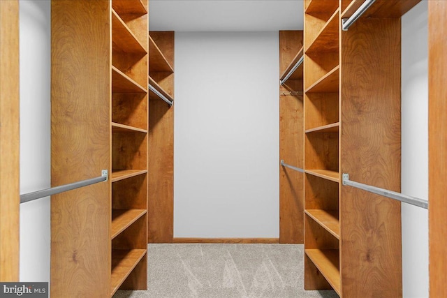 12549 Jesse Smith Rd, Mount Airy, MD 21771 - spacious closet with carpet