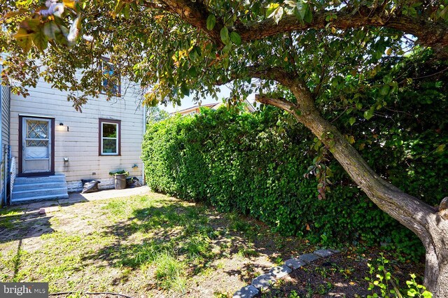 625 Hunter St, Gloucester City, NJ 08030 - view of yard with entry steps