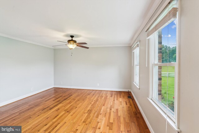 46 Misty Ln, Stafford, VA 22556 - unfurnished room featuring baseboards, light wood-style floors, crown molding, and a ceiling fan