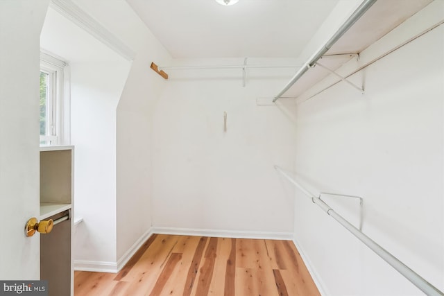 46 Misty Ln, Stafford, VA 22556 - spacious closet with light wood-style floors