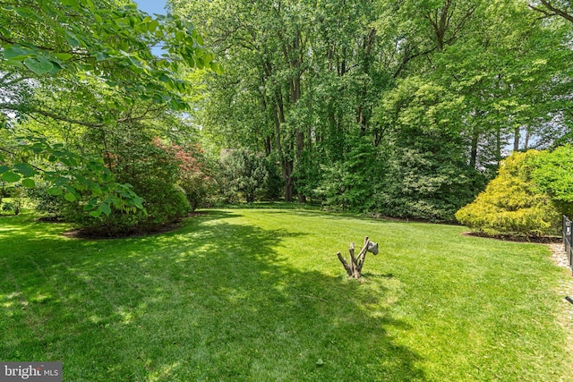 11111 Willow Bottom Dr, Columbia, MD 21044 - view of green lawn