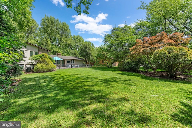 11111 Willow Bottom Dr, Columbia, MD 21044 - view of green lawn with view of wooded area