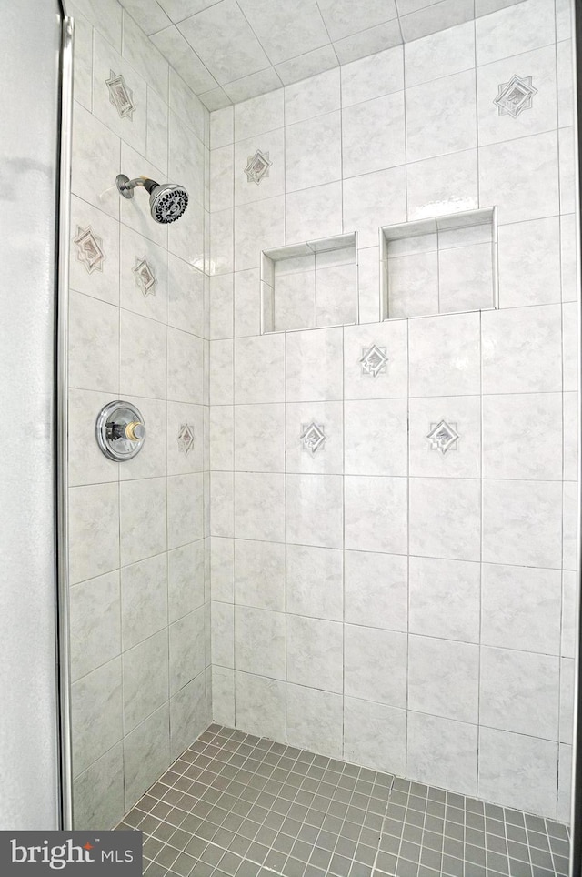 826 Bent Creek Dr, Lititz, PA 17543 - bathroom with a shower stall