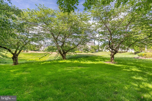 826 Bent Creek Dr, Lititz, PA 17543 - view of green lawn