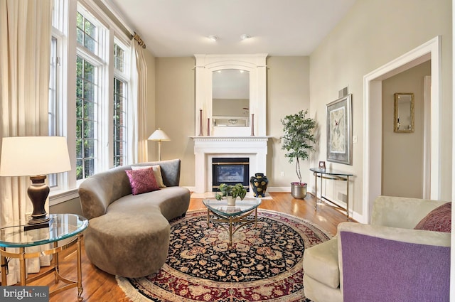 826 Bent Creek Dr, Lititz, PA 17543 - living room featuring plenty of natural light, wood finished floors, a glass covered fireplace, and baseboards