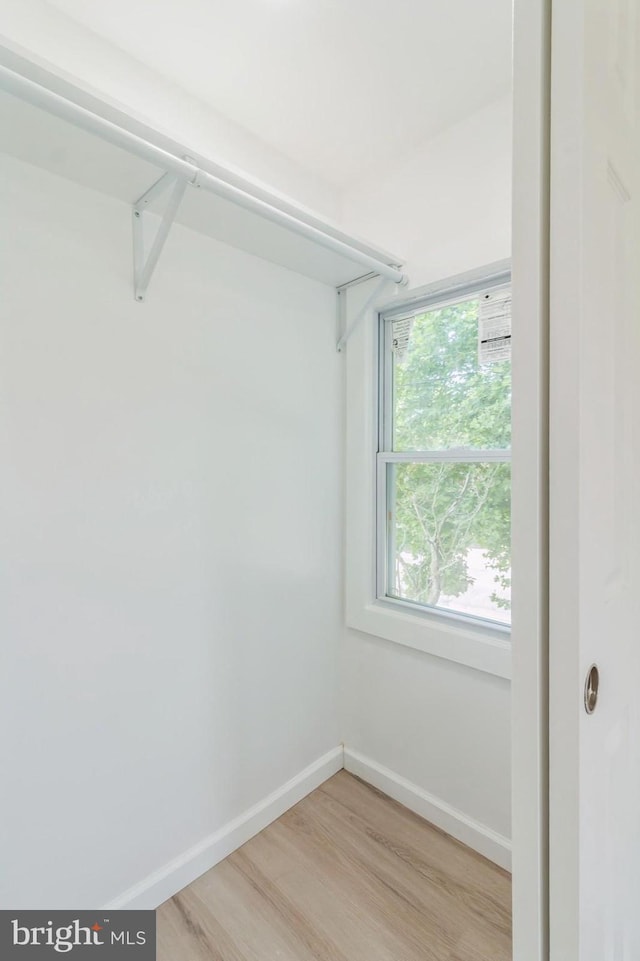 395 Main St, Cedarville, NJ 08311 - walk in closet with light wood-style flooring