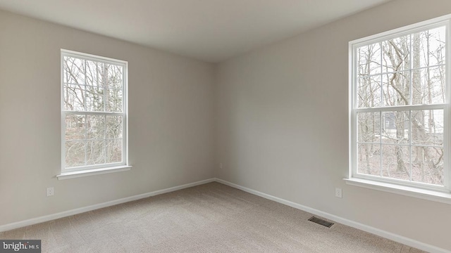 139 Erica Ln, Columbia, PA 17512 - carpeted empty room with healthy amount of natural light and baseboards