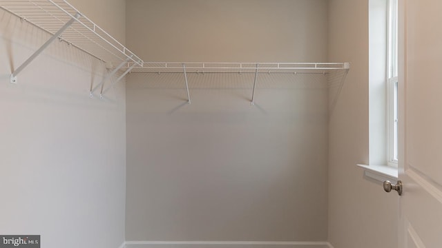 139 Erica Ln, Columbia, PA 17512 - view of walk in closet