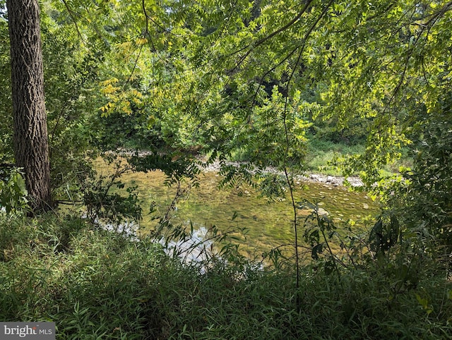 2834 E Boss Arnold Rd, Jefferson, MD 21755 - view of tree filled area