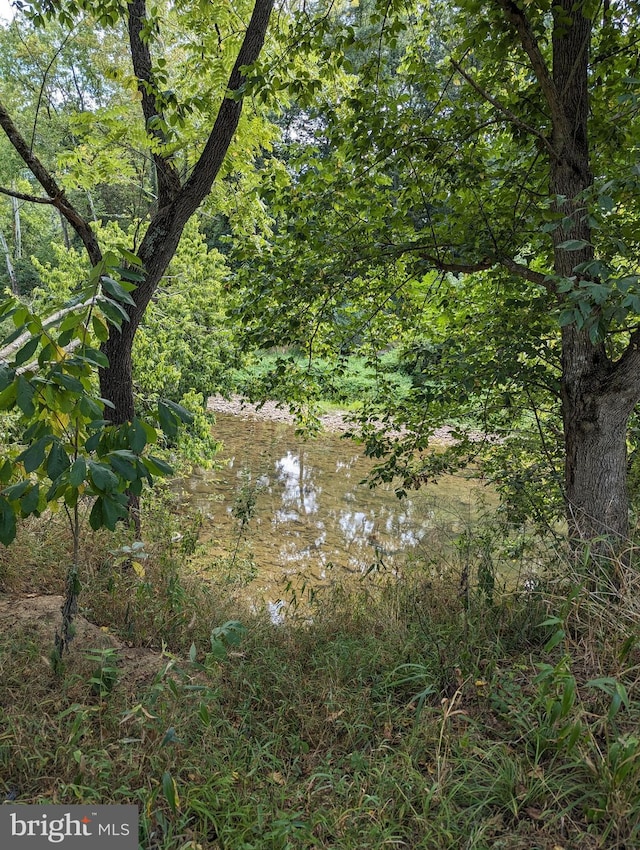 2834 E Boss Arnold Rd, Jefferson, MD 21755 - view of wooded area