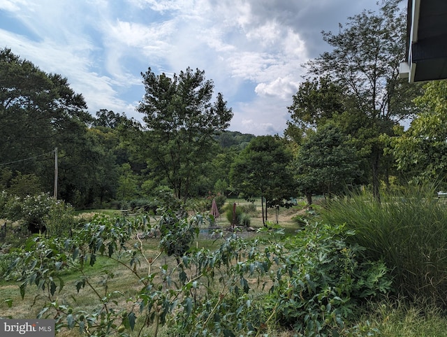 2834 E Boss Arnold Rd, Jefferson, MD 21755 - view of nature