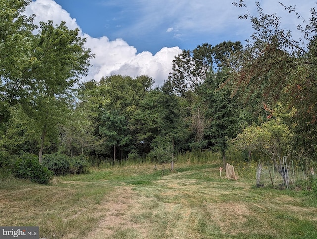2834 E Boss Arnold Rd, Jefferson, MD 21755 - view of tree filled area