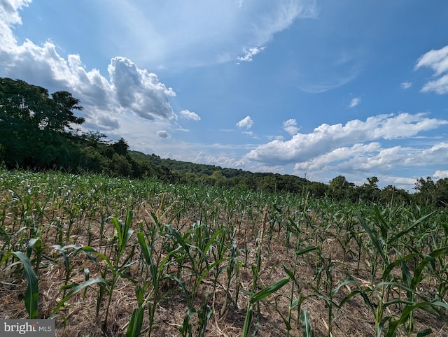 2834 E Boss Arnold Rd, Jefferson, MD 21755 - view of undeveloped land