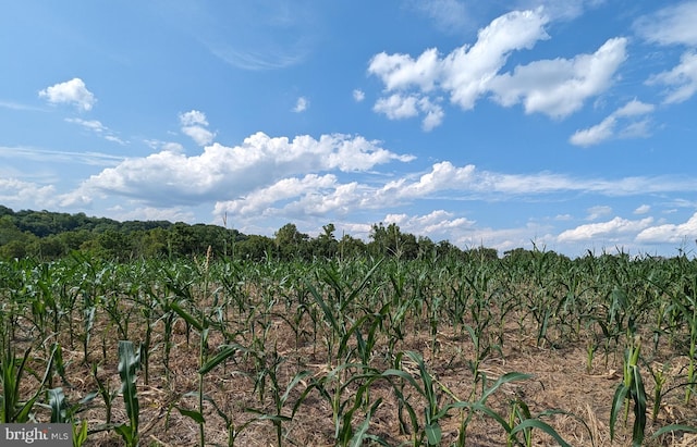 2834 E Boss Arnold Rd, Jefferson, MD 21755 - view of mountain backdrop