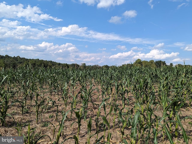 2834 E Boss Arnold Rd, Jefferson, MD 21755 - view of undeveloped land featuring abundant farmland and rural landscape