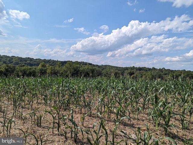 2834 E Boss Arnold Rd, Jefferson, MD 21755 - view of mountain background with a heavily wooded area