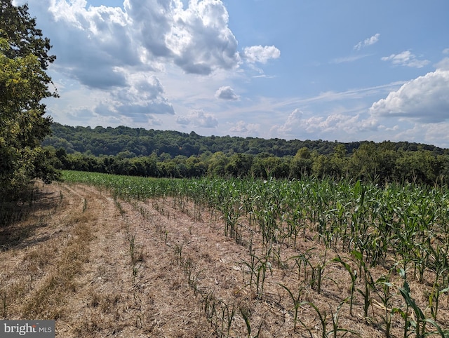 2834 E Boss Arnold Rd, Jefferson, MD 21755 - view of mountain background with rural landscape and a forest