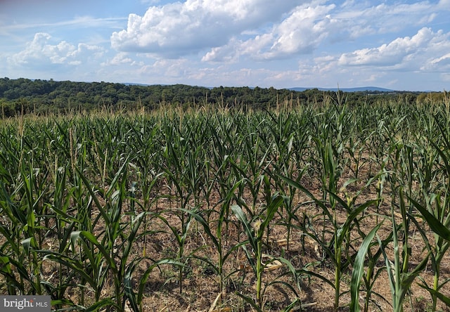 2834 E Boss Arnold Rd, Jefferson, MD 21755 - view of undeveloped land