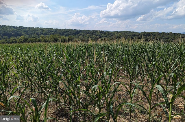 2834 E Boss Arnold Rd, Jefferson, MD 21755 - mountain view featuring rural landscape
