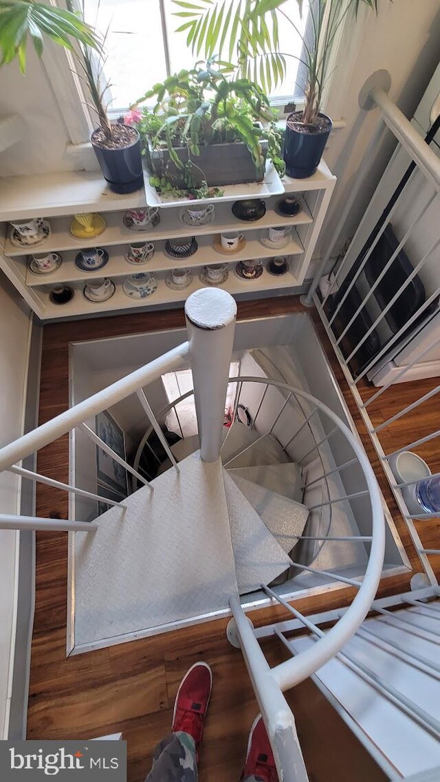 2008 17th St NW, Washington, DC 20009 - stairway featuring wood finished floors