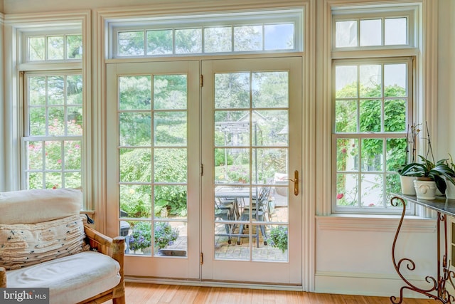 315 Linden Ave, Doylestown, PA 18901 - doorway with healthy amount of natural light and light wood-type flooring