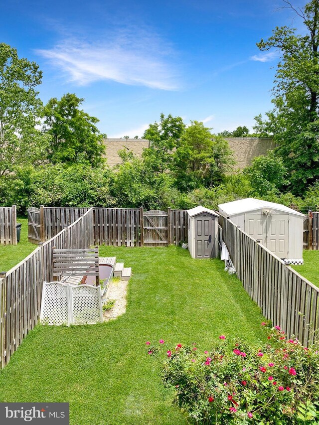 6600 Brave Ct, Haymarket, VA 20169 - view of yard