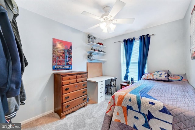 96 Billerbeck St, New Oxford, PA 17350 - bedroom with light carpet, ceiling fan, and baseboards