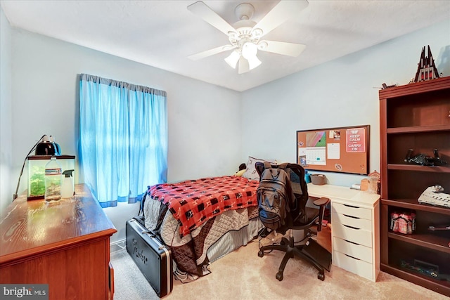 96 Billerbeck St, New Oxford, PA 17350 - carpeted bedroom with ceiling fan and a desk