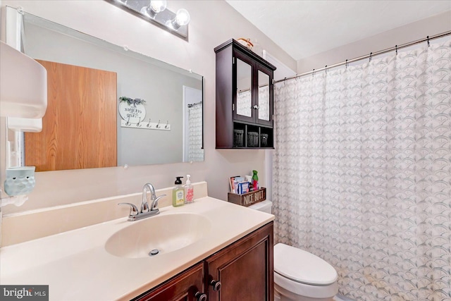 96 Billerbeck St, New Oxford, PA 17350 - full bathroom featuring toilet, vanity, and a shower with curtain