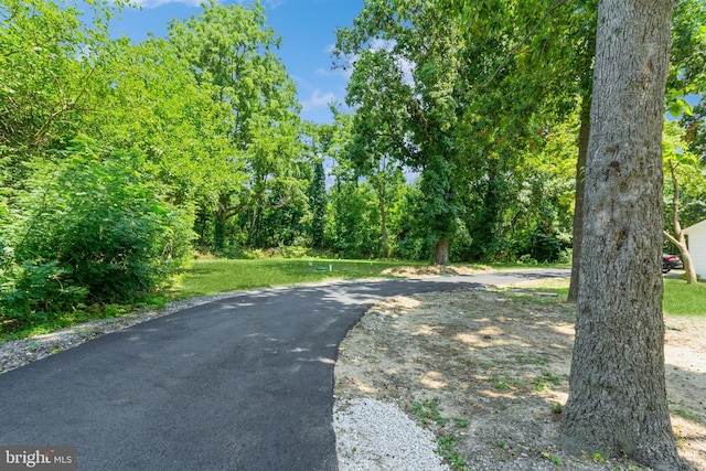 229 Shoemaker Rd, Bridgeton, NJ 08302 - view of road featuring a wooded view