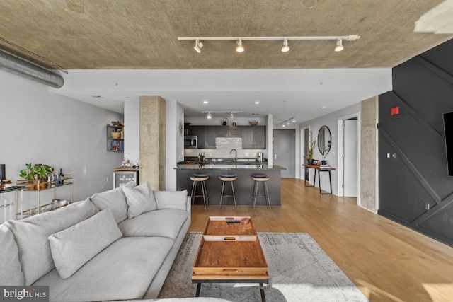1200 Steuart St Unit 326, Baltimore, MD 21230 - living room featuring rail lighting and light wood-type flooring