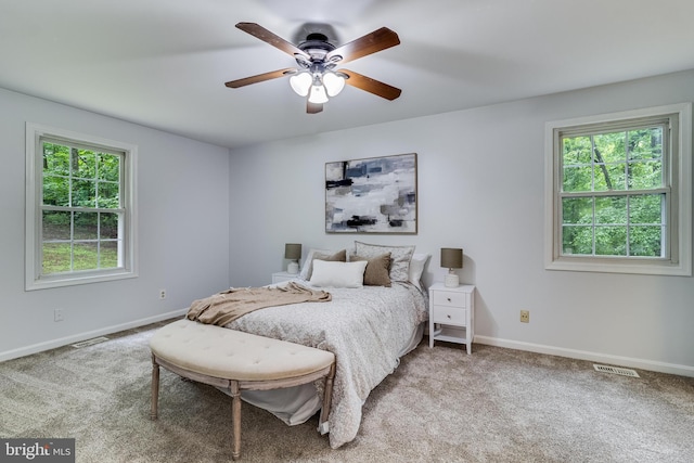 830 Willow Way, Prince Frederick, MD 20678 - bedroom featuring multiple windows, carpet floors, and baseboards
