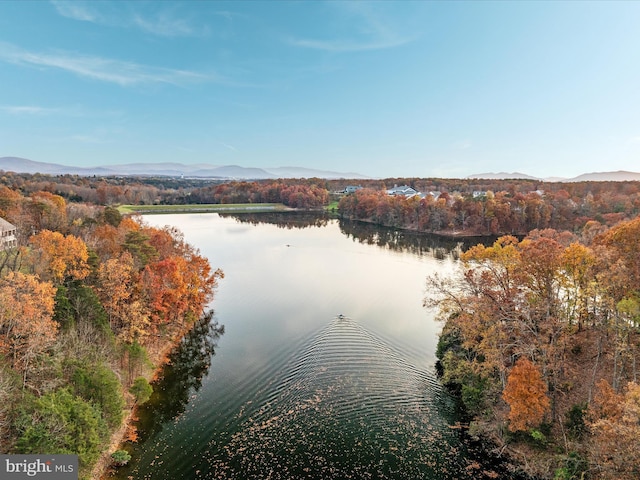 103 Titmouse Ct, Lake Frederick, VA 22630 - water view featuring a heavily wooded area