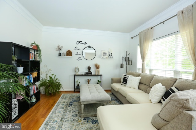5736 Caribbean Ct, Haymarket, VA 20169 - living room featuring ornamental molding, wood finished floors, and baseboards