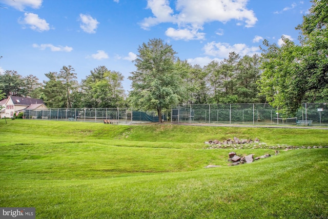 5441 Gladewright Dr, Centreville, VA 20120 - view of yard with view of scattered trees
