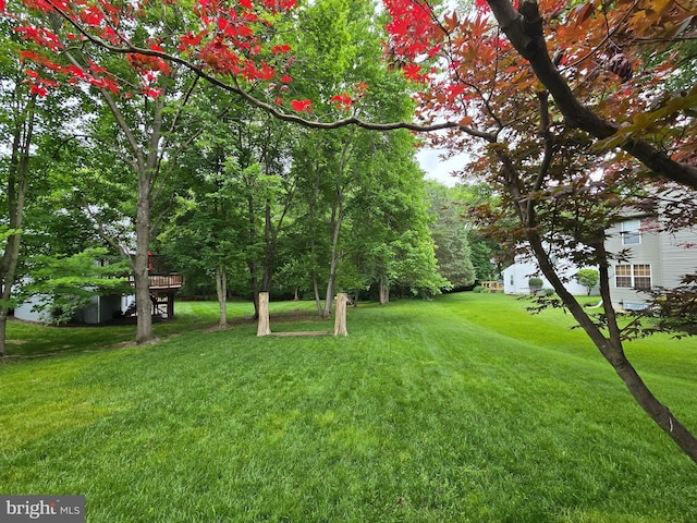 5441 Gladewright Dr, Centreville, VA 20120 - view of grassy yard