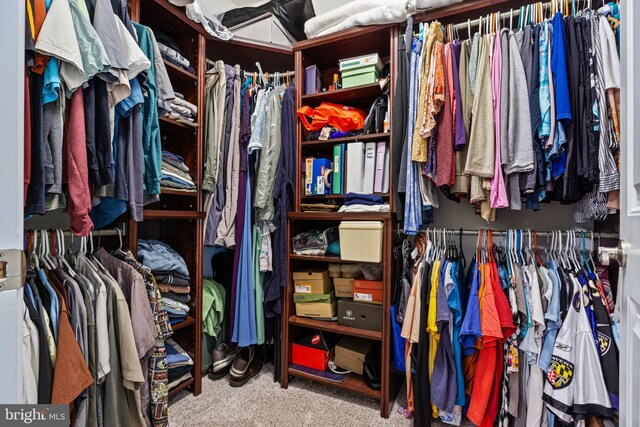 20843 Country Rd, Georgetown, DE 19947 - spacious closet with carpet floors