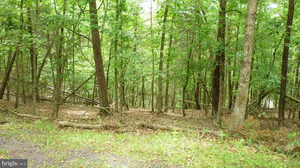 LOT179 Stuart Dr, Basye, VA 22810
